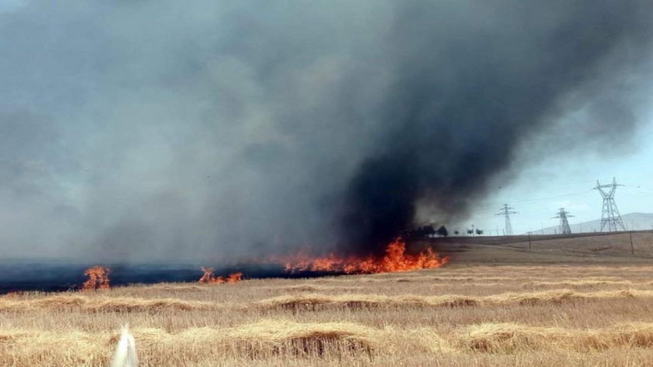Çiftçiye uyarı: Anız yangınıyla çiftçi toprağı değil kendi geleceğini yakıyor