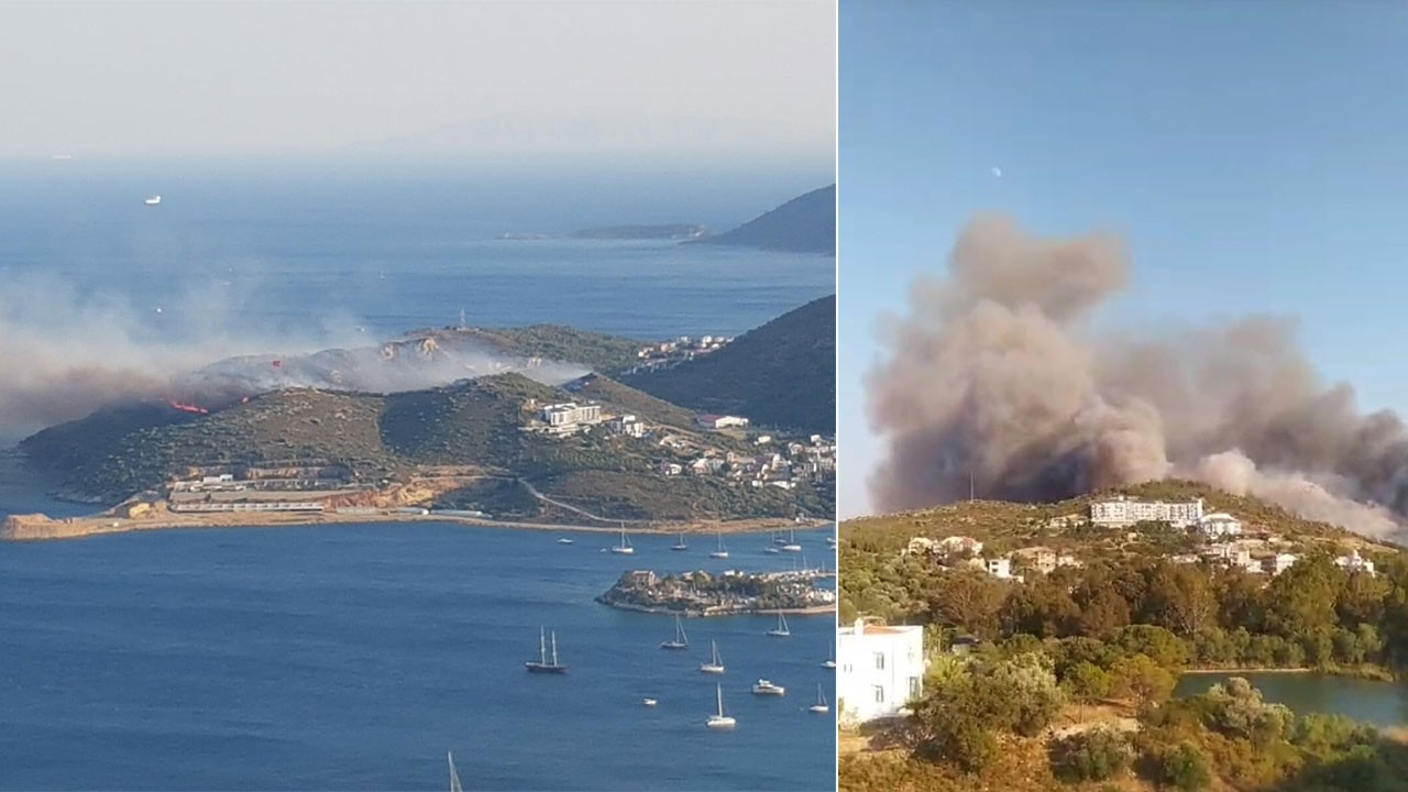 Datça'da yerleşim yeri yakınında yangın