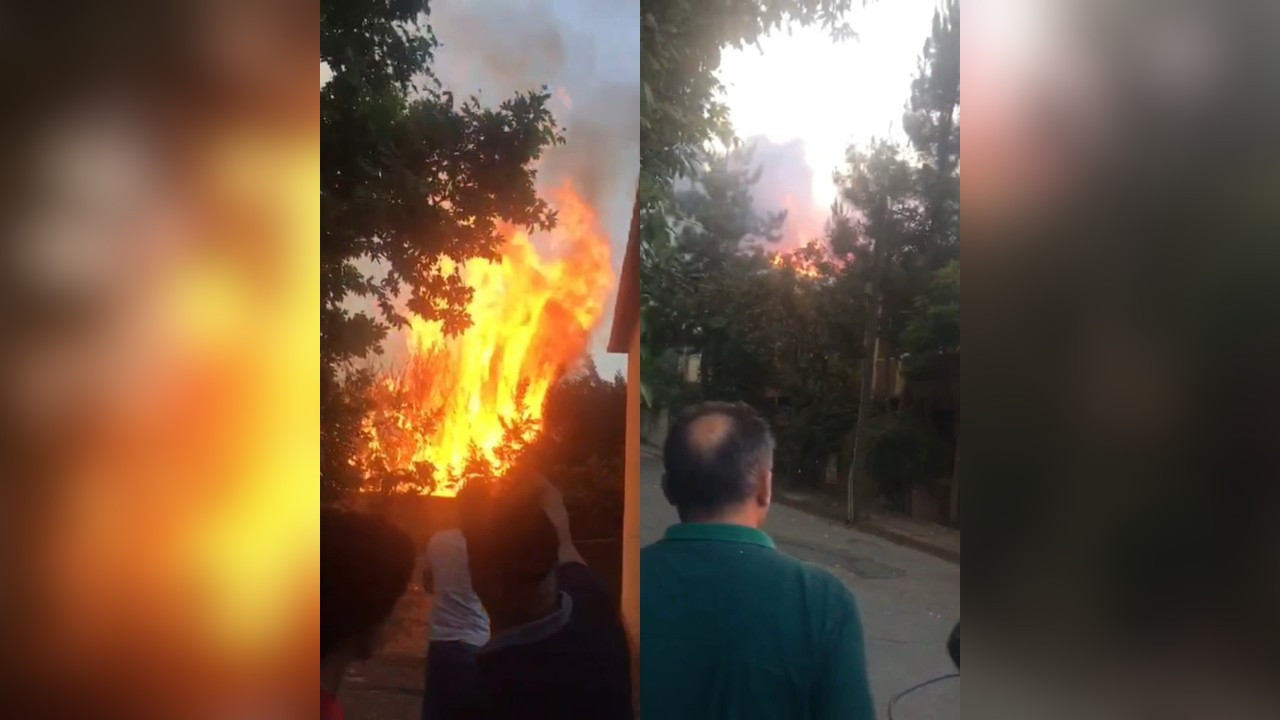 Sancaktepe'de ağaçlık alanda çıkan yangın 4 binaya sıçradı