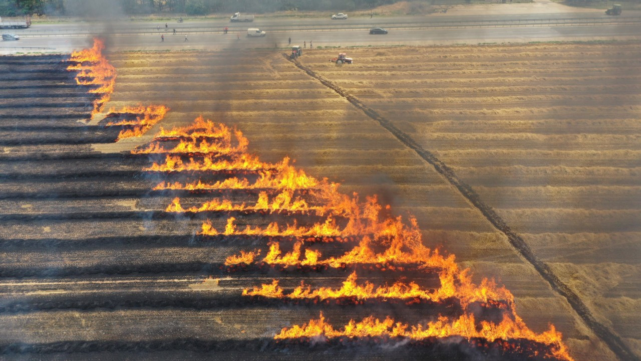 Trakya'da 20 günde 920 dönüm buğday tarlasında yangın çıktı
