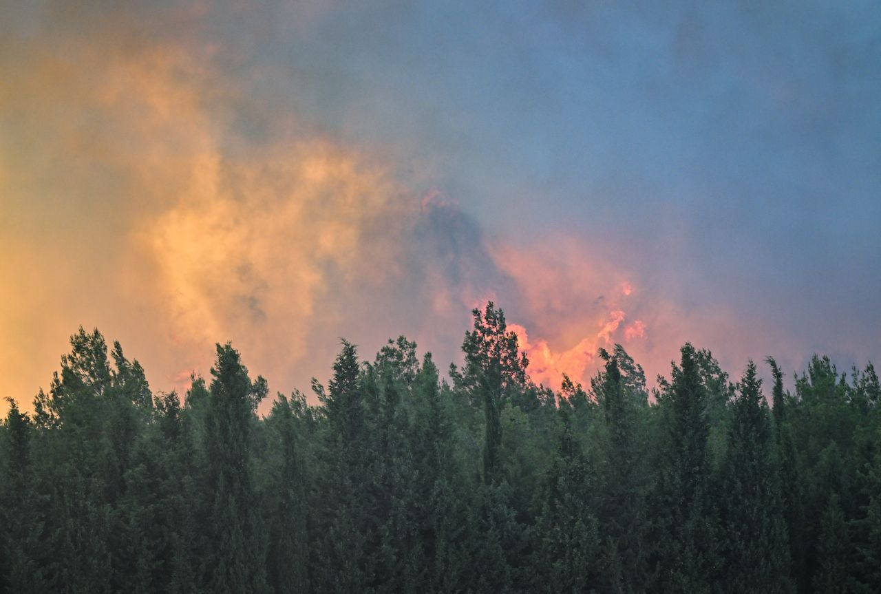 İzmir'deki ikinci orman yangını da 11 saat sonra kontrol altına alındı - Sayfa 3