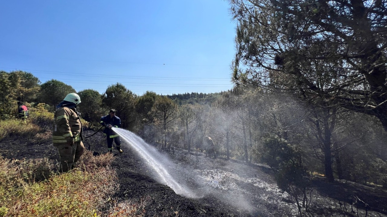 İstanbul'da ormanlık alanda çıkan yangın söndürüldü