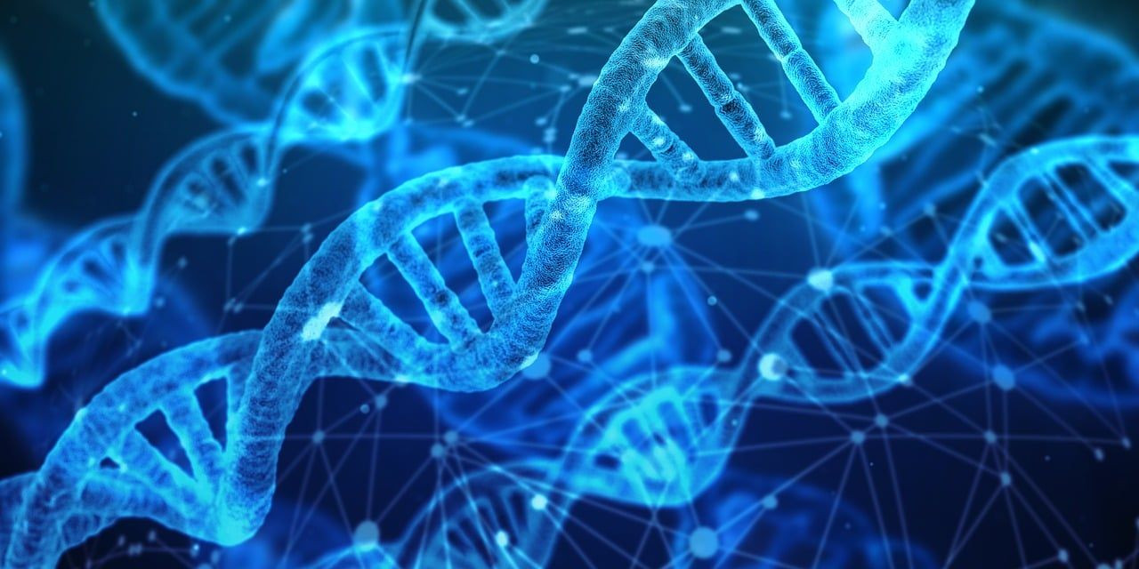 DNA’da görüntü depolayan ‘biyolojik kamera’ geliştirildi - Sayfa 1
