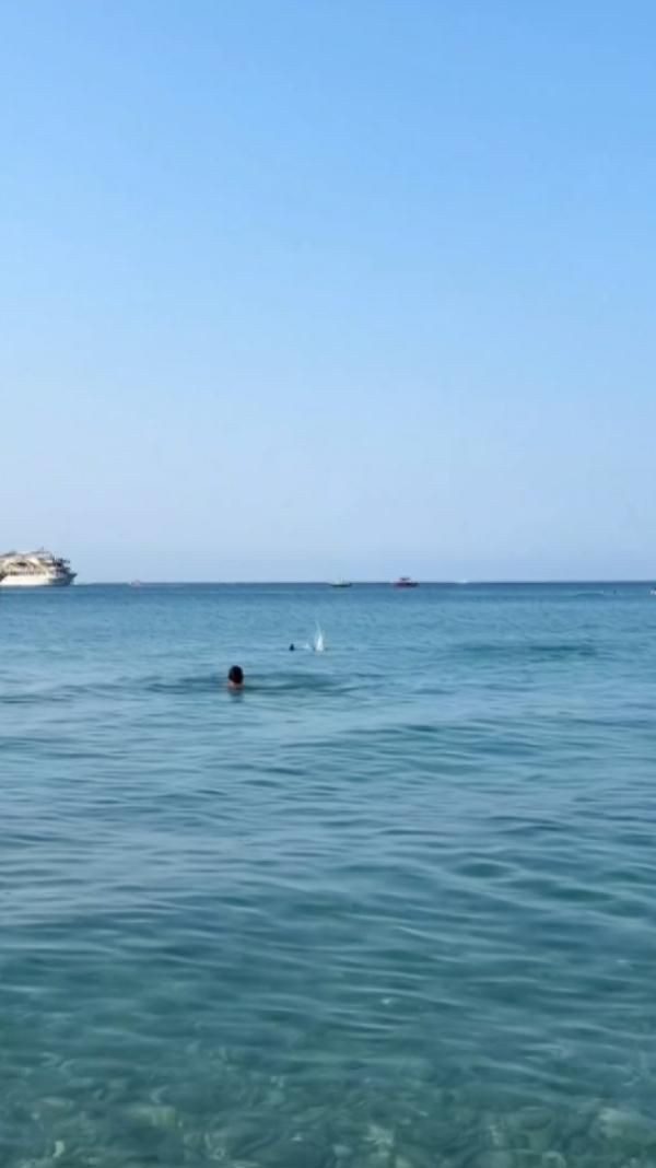 Antalya'da 'köpek balığı'nı taşla kovalamaya çalıştılar - Sayfa 3