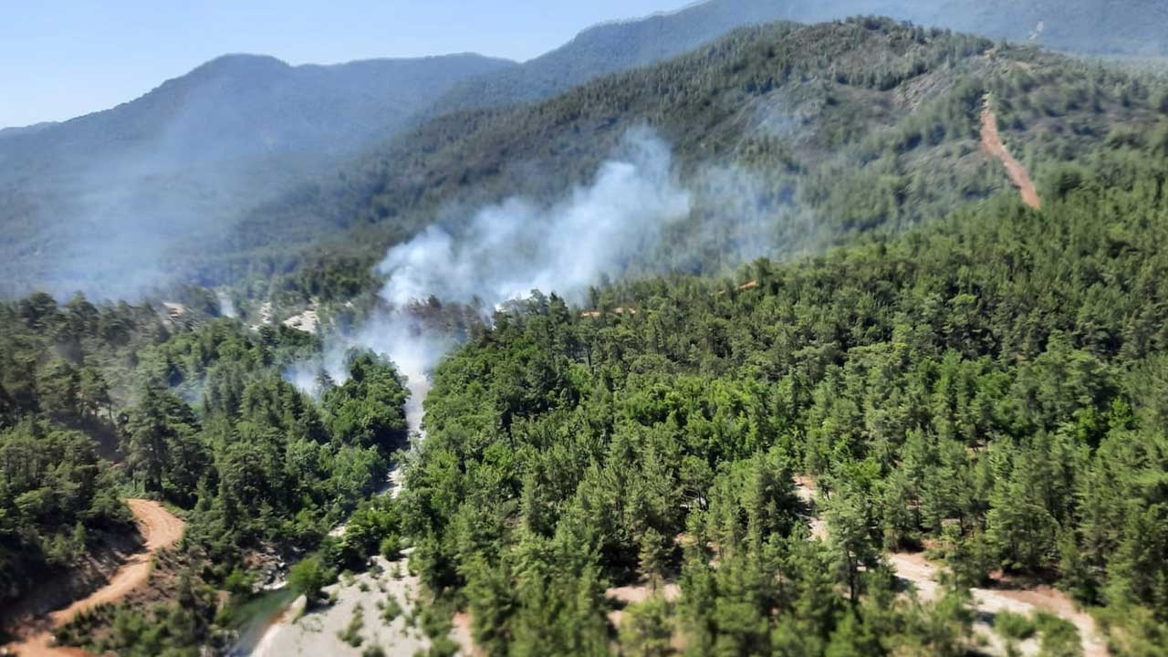 Muğla'da orman yangını kontrol altına alındı: Bir hektar alan zarar gördü