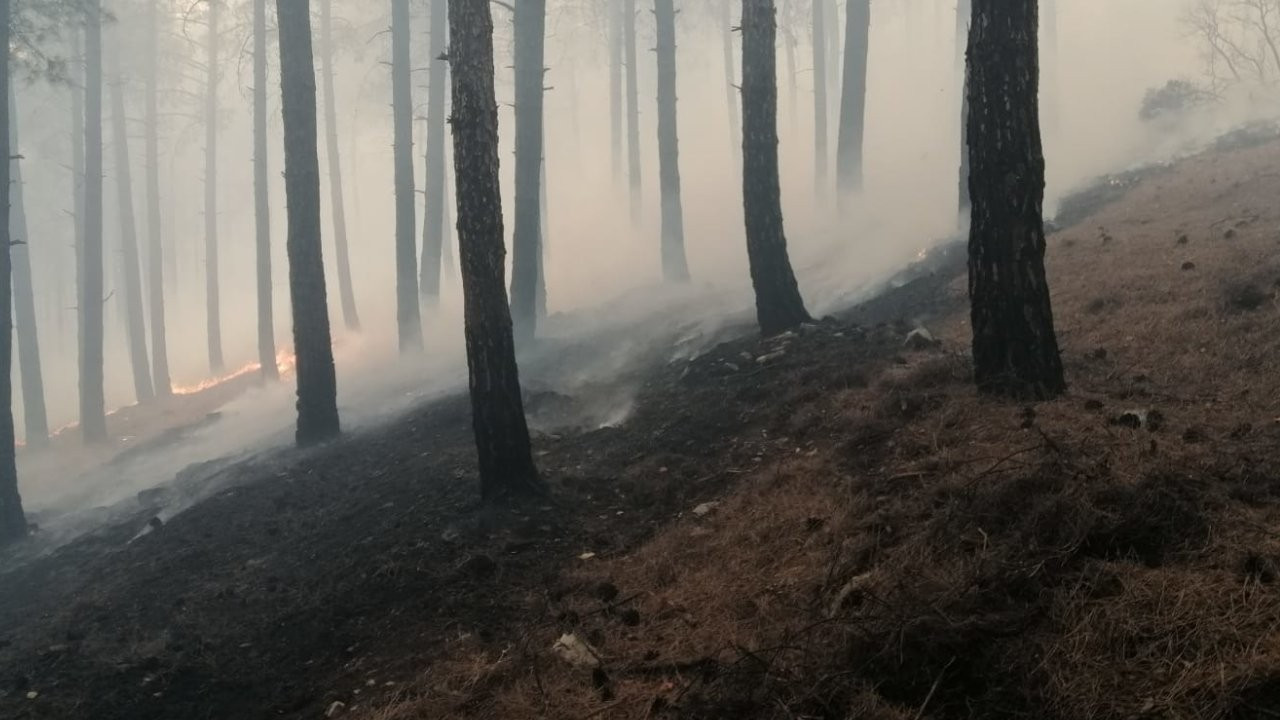 Maraş'ta orman yangını: Evlere sıçramadan söndürüldü