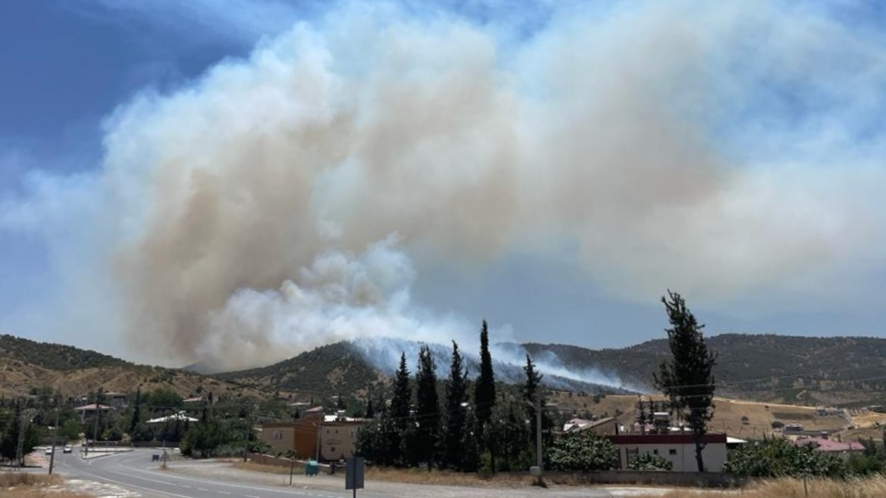 Maraş'ta orman yangını: 8 hektar alan zarar gördü