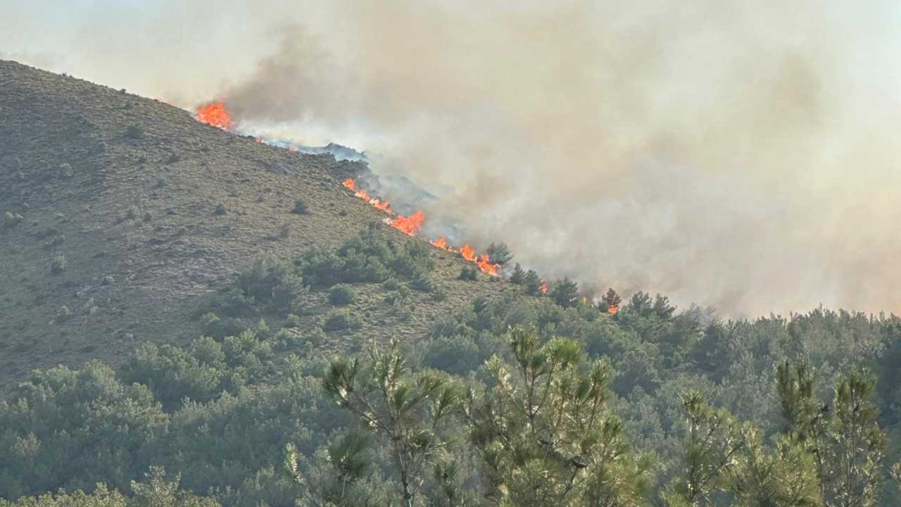 Gökçeada'daki orman yangını 16 saat sonra kontrol altına alındı