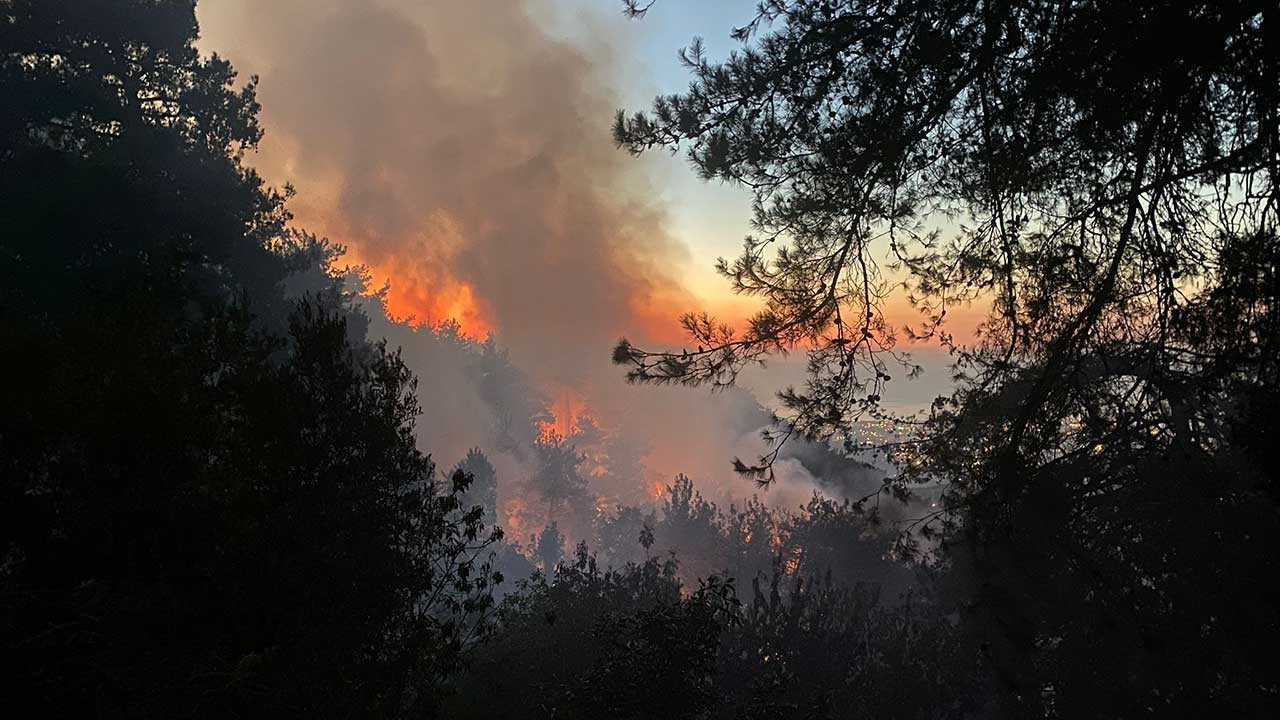 Belen'de orman yangını ikinci gününde: 1500 kişi tahliye edildi