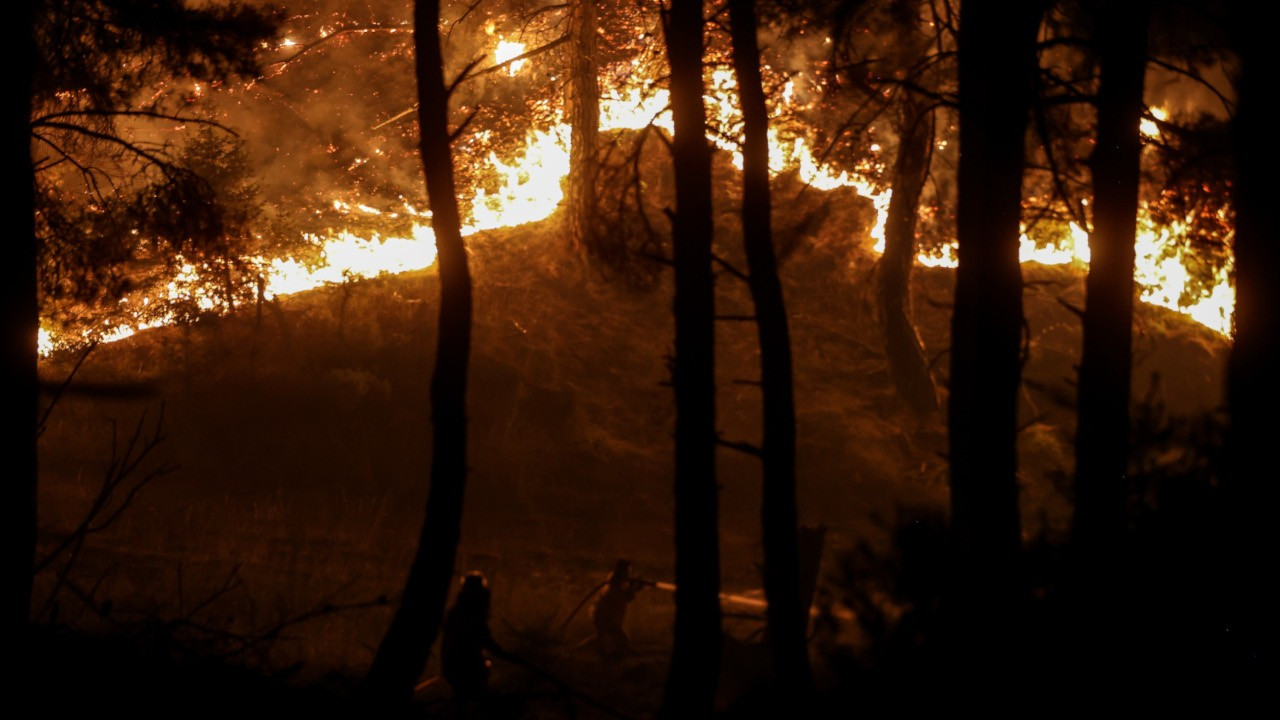 Yerlikaya: Yangınlardan biri trafodan, ikisi doğal, ikisi kazaen çıktı