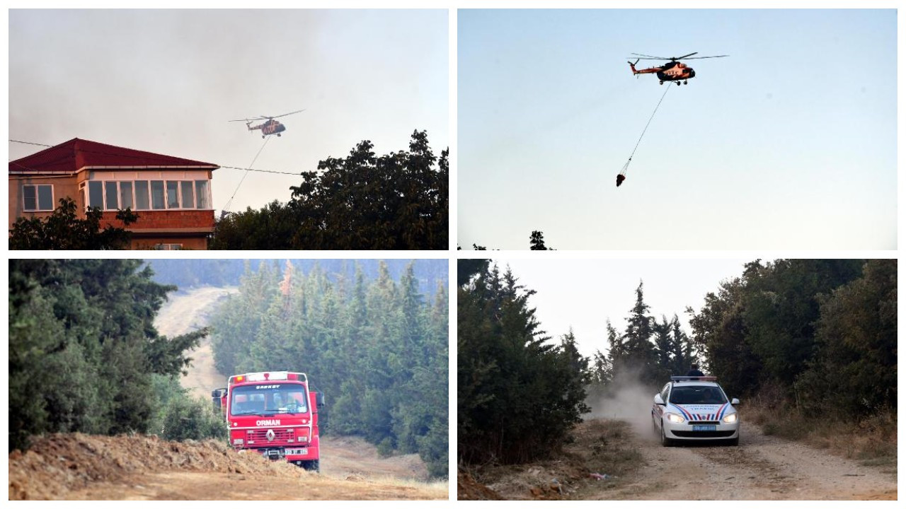 Tekirdağ'daki orman yangını 13 saatte kontrol altına alındı