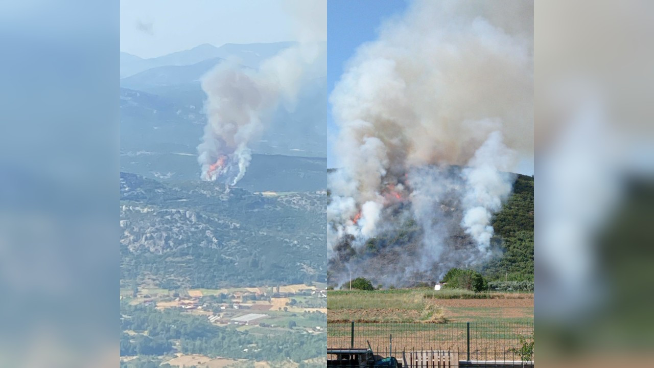 Muğla'da tarlada başlayan yangın ormana sıçradı