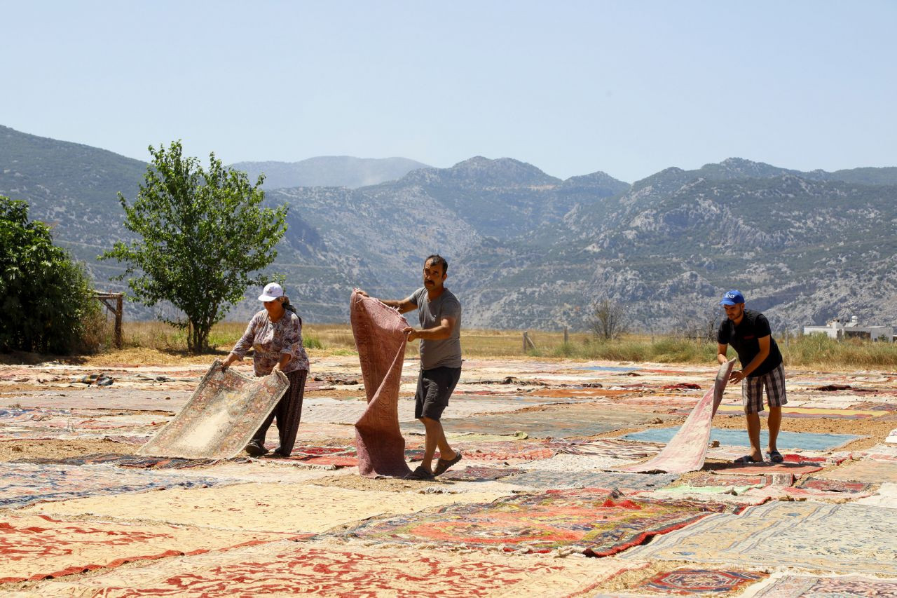 Kışın buğday yazın halı: Turistler bu tarlalar için geliyor - Sayfa 4