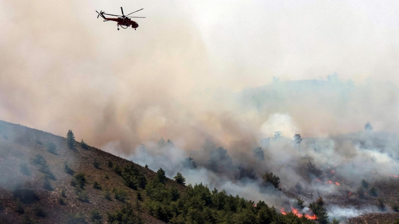 Cezayir'de orman yangınları: 15 kişi hayatını kaybetti