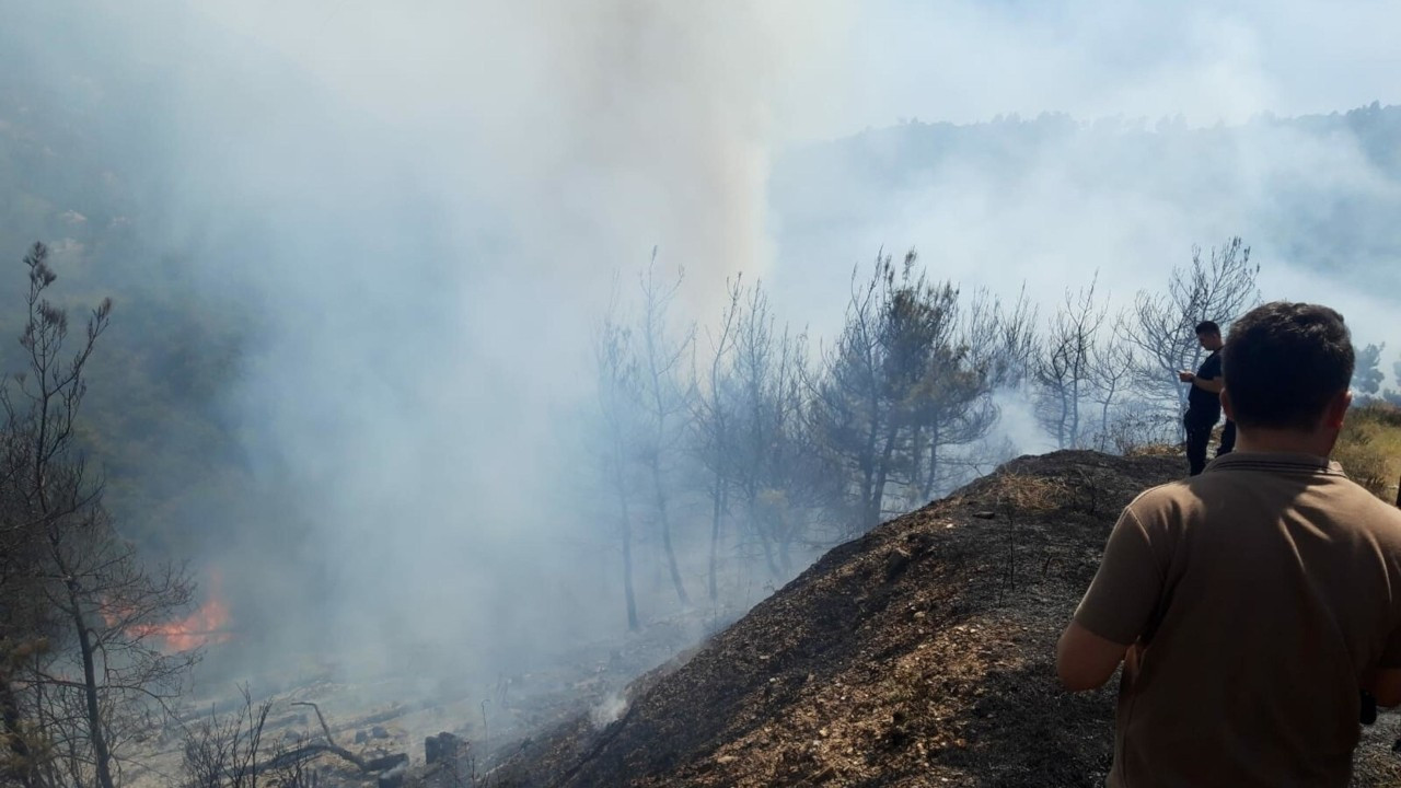İzmir'in Kemalpaşa ve Menemen ilçelerinde orman yangını