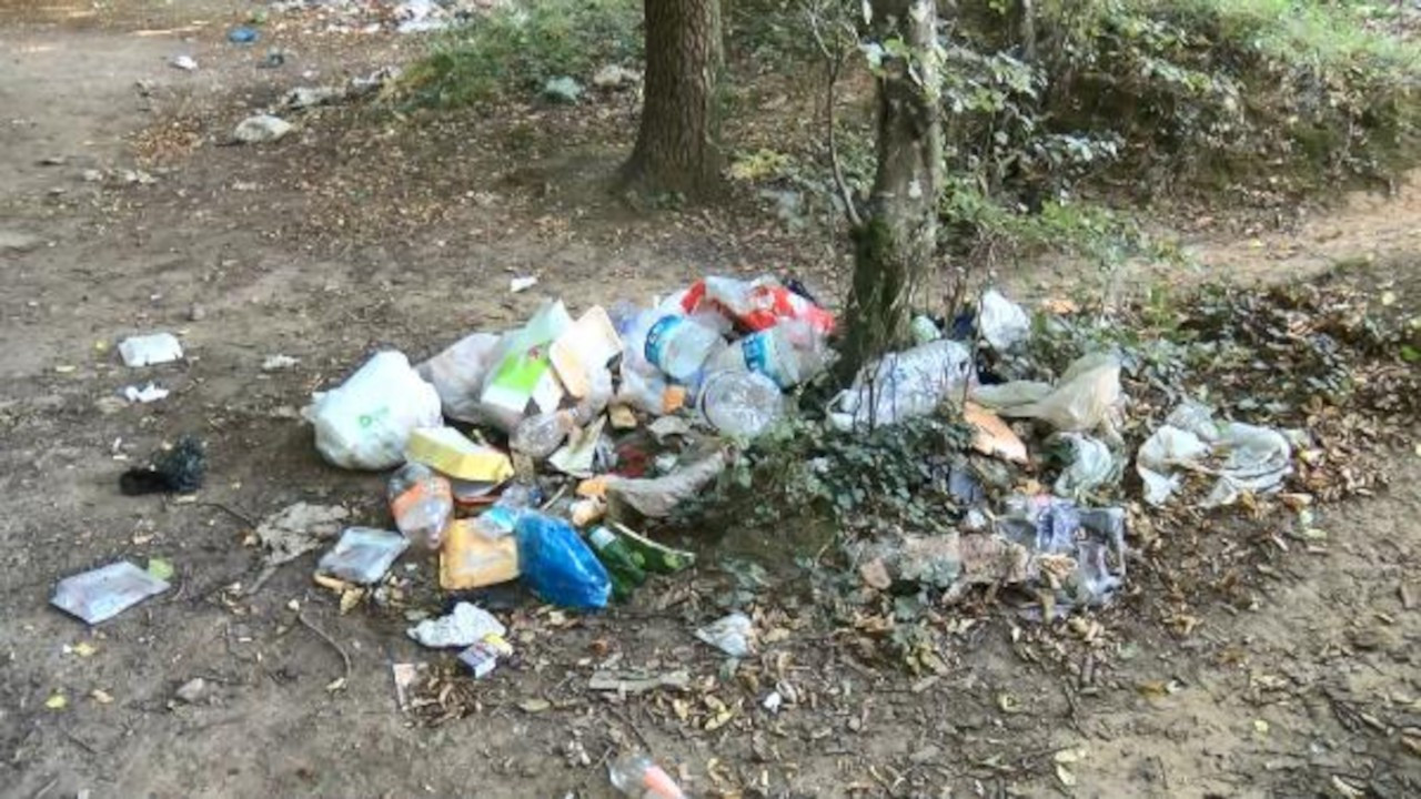 Önce piknik sonra pislik: Belgrad'da 3 günde 18 ton çöp toplandı