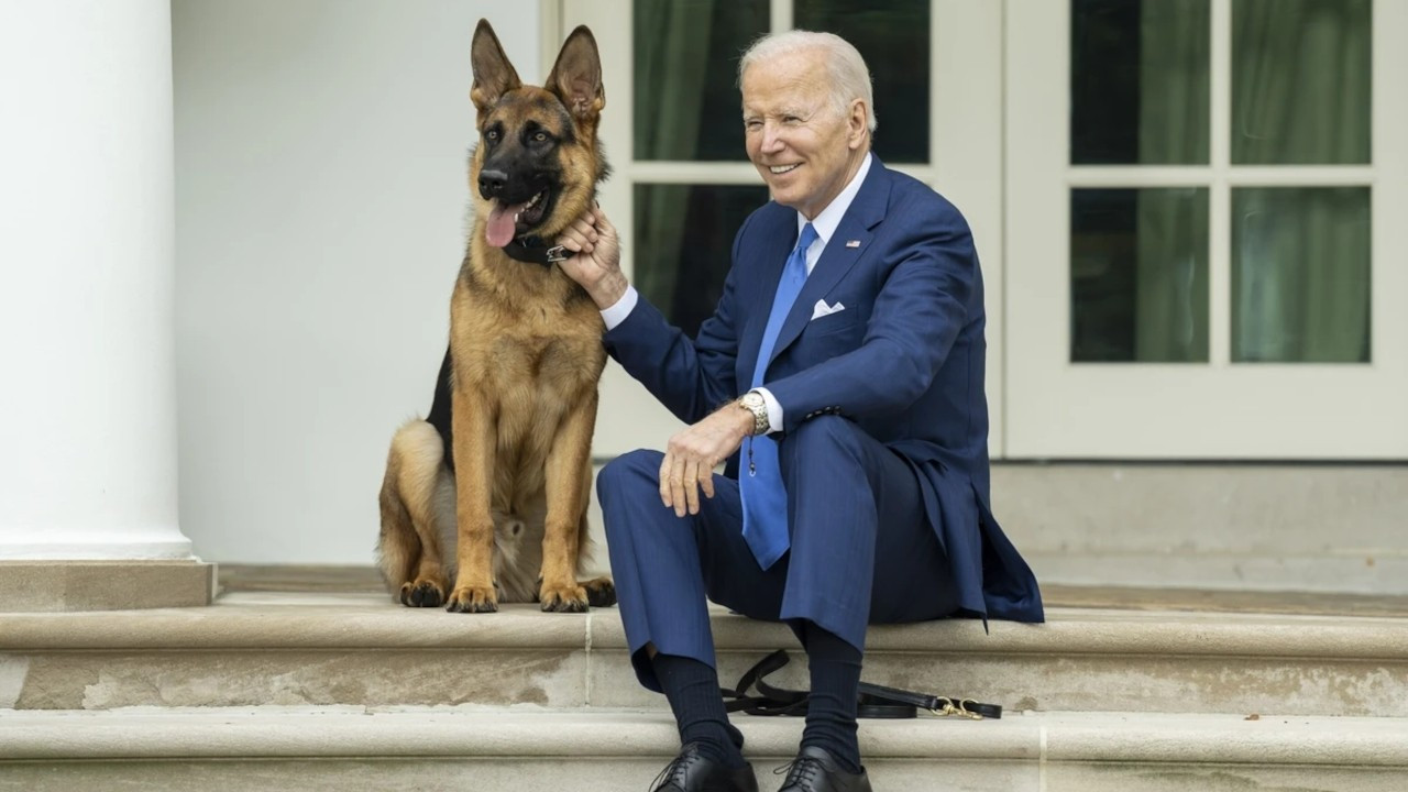 Beyaz Saray'da kriz: Biden'ın köpeği en az 10 ajanı ısırdı
