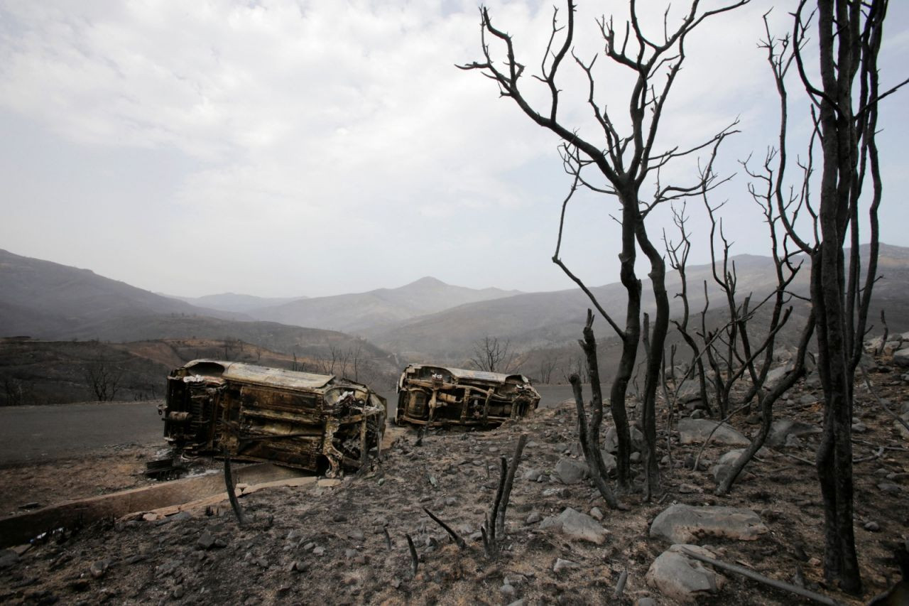 Akdeniz ülkelerinde orman yangınları: 40'tan fazla kişi öldü - Sayfa 2