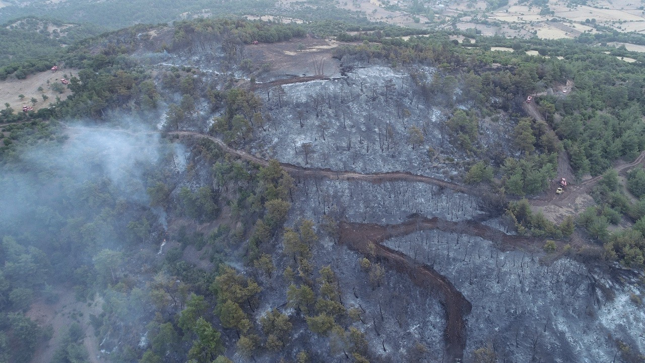 Çanakkale'deki orman yangını 16 saat sonra söndürüldü