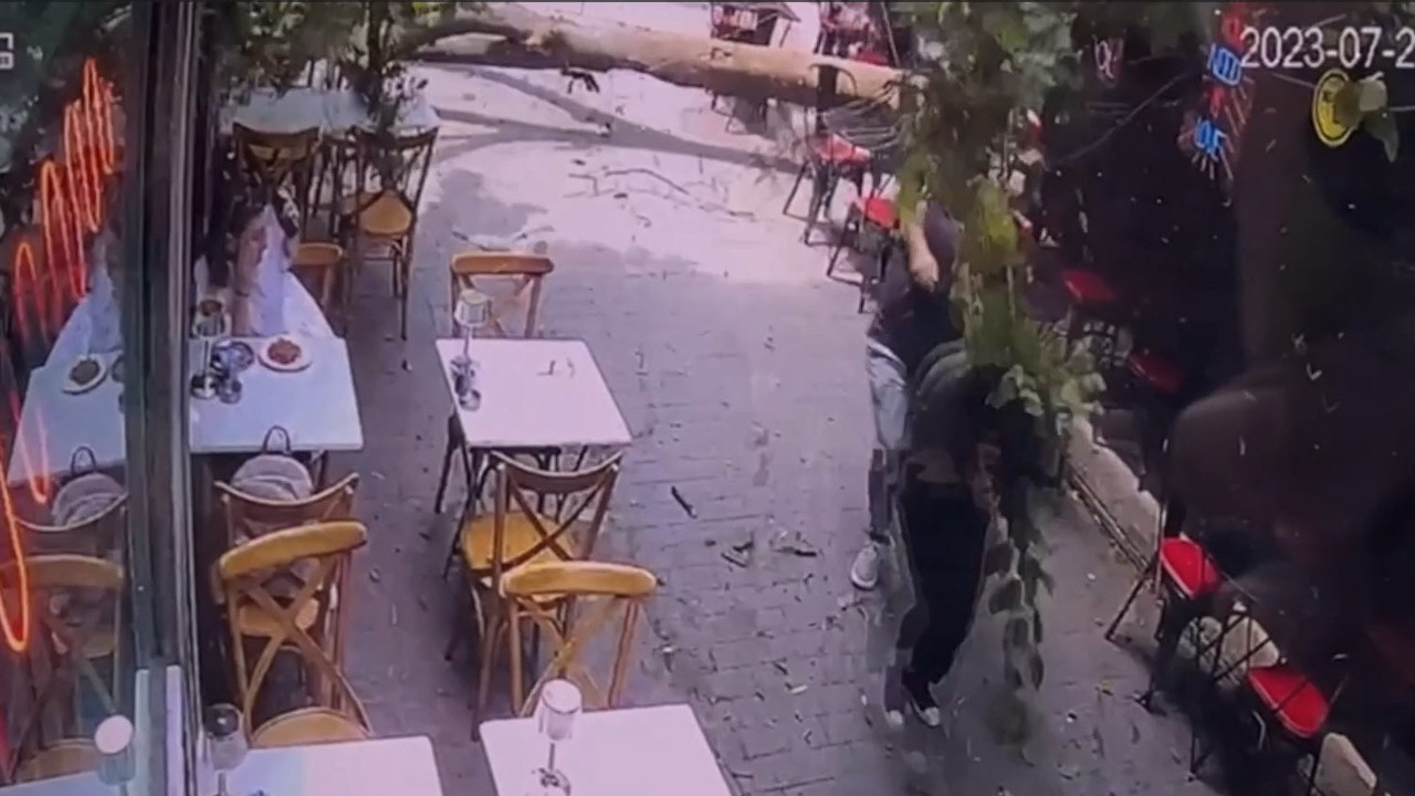 Karaköy'de kafe önündeki ağaç devrildi: Son anda kurtuldular