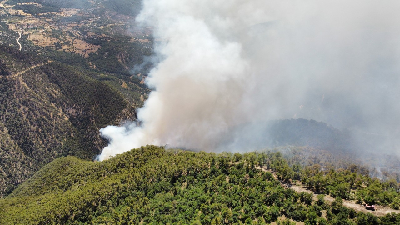 Bolu'da dün başlayan orman yangını devam ediyor: Havadan müdahaleye ara verildi