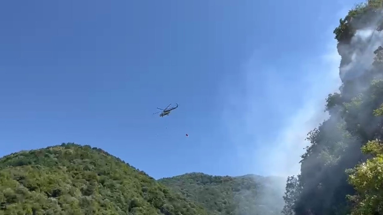 Uludağ'da orman yangını