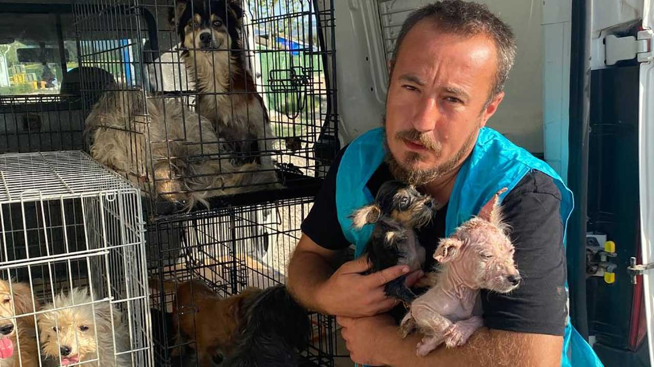 Bursa'da bir çiftlikte 16 köpek terk edilmiş halde bulundu