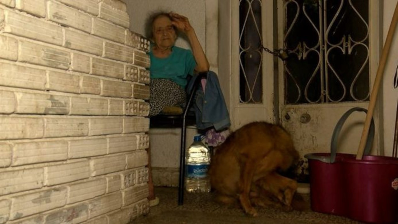 İstanbul'a 'sığamadı': 95 yaşındaki kadın köpeğiyle sokakta kaldı