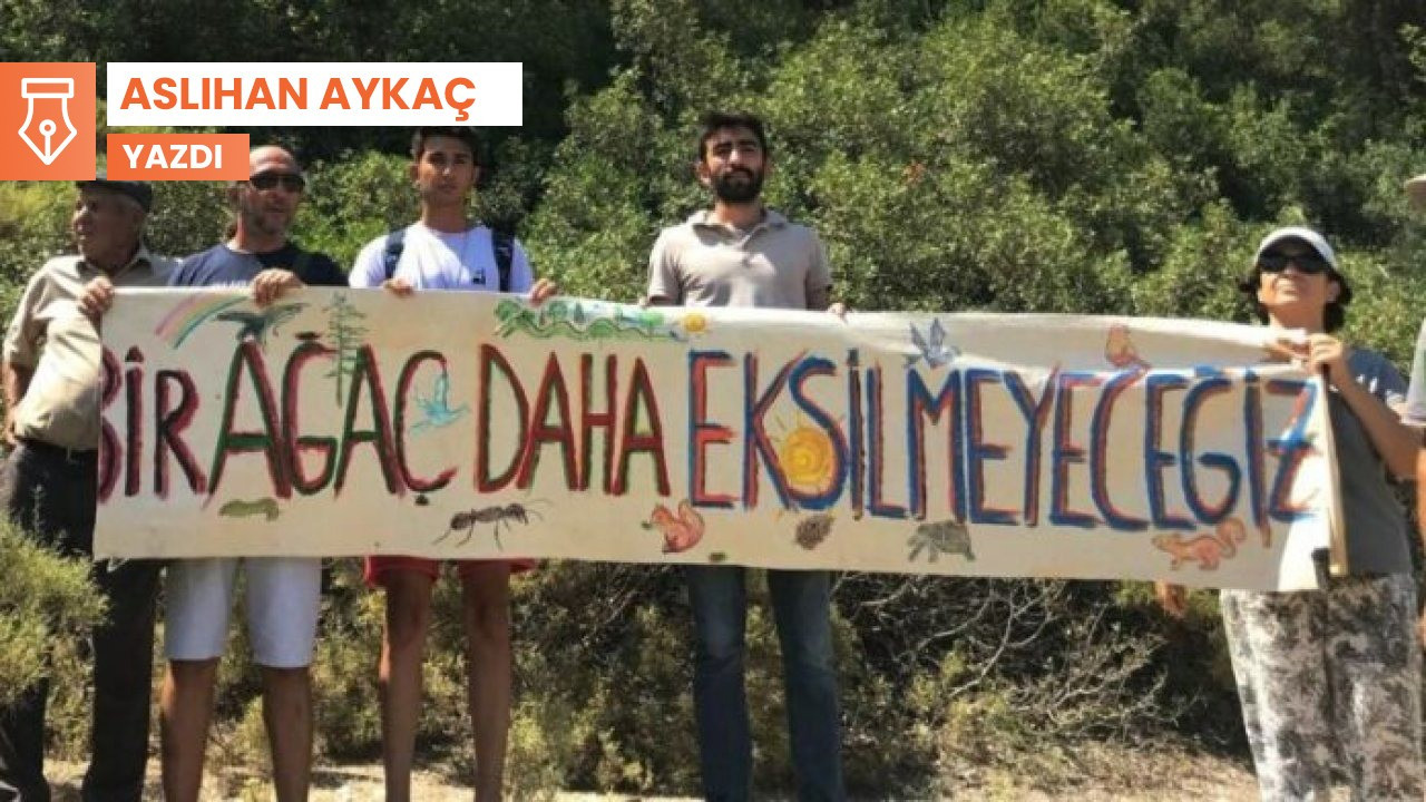 Dünyanın en sıcak günü, Akbelen ve Türkiye’de çevresel adalet