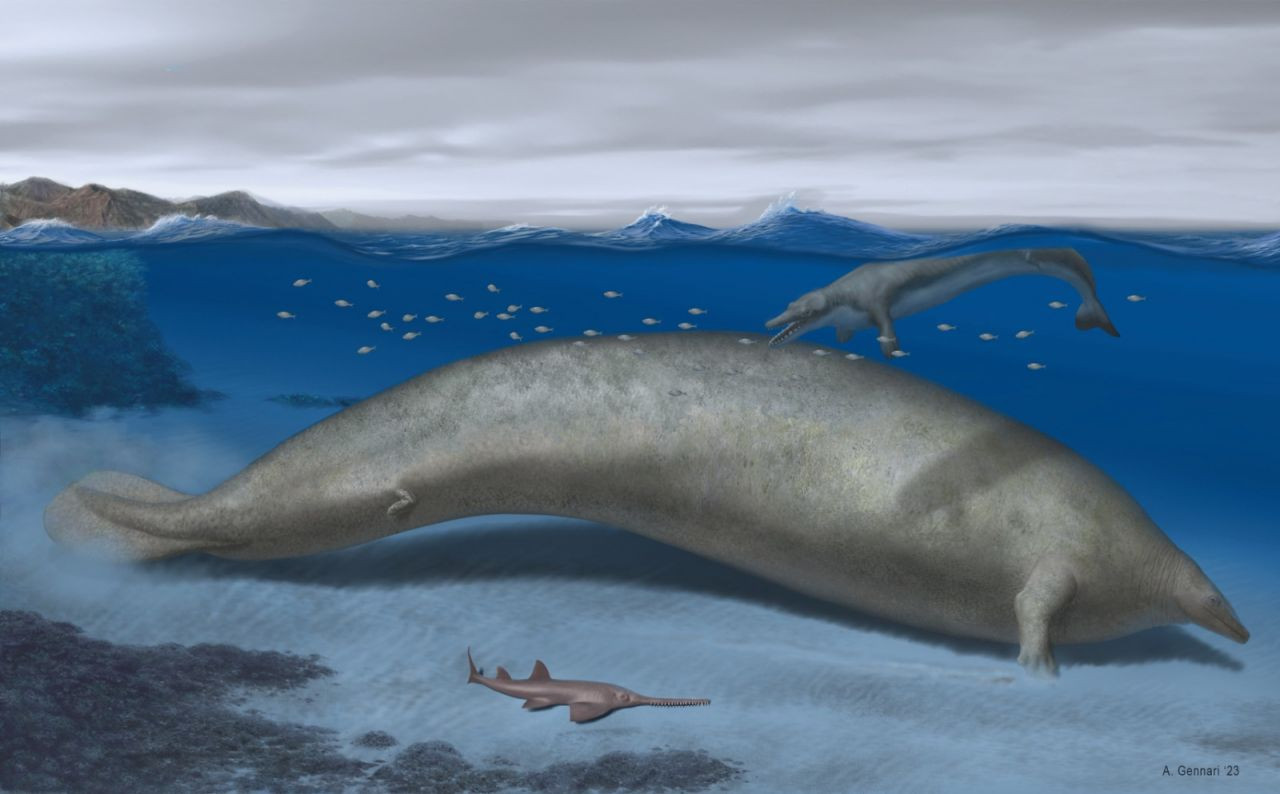 39 milyon yıllık fosil bulundu: Dünyanın gelmiş geçmiş en ağır hayvanına ait - Sayfa 1
