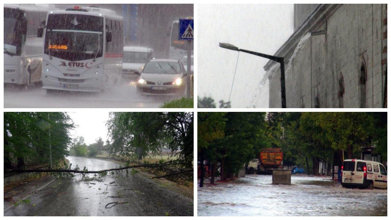 Edirne'de fırtına ve sağanak yağmur: Ağaçlar yola devrildi