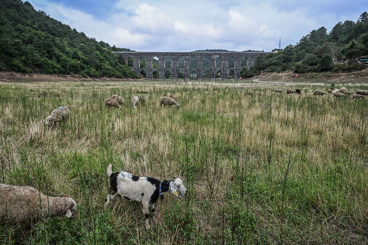 İstanbul'un barajları alarm veriyor: 10 barajın 6'sında su kalmadı - Sayfa 4