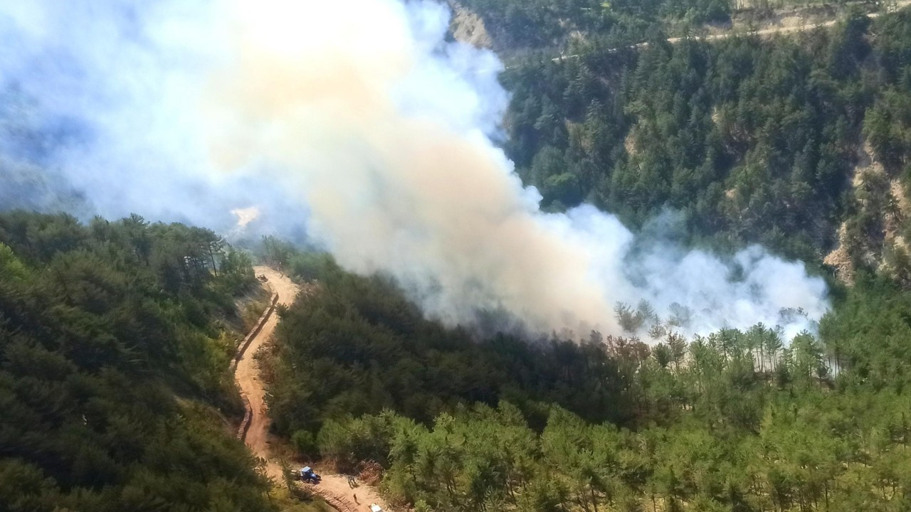 Bolu'da orman yangını çıktı