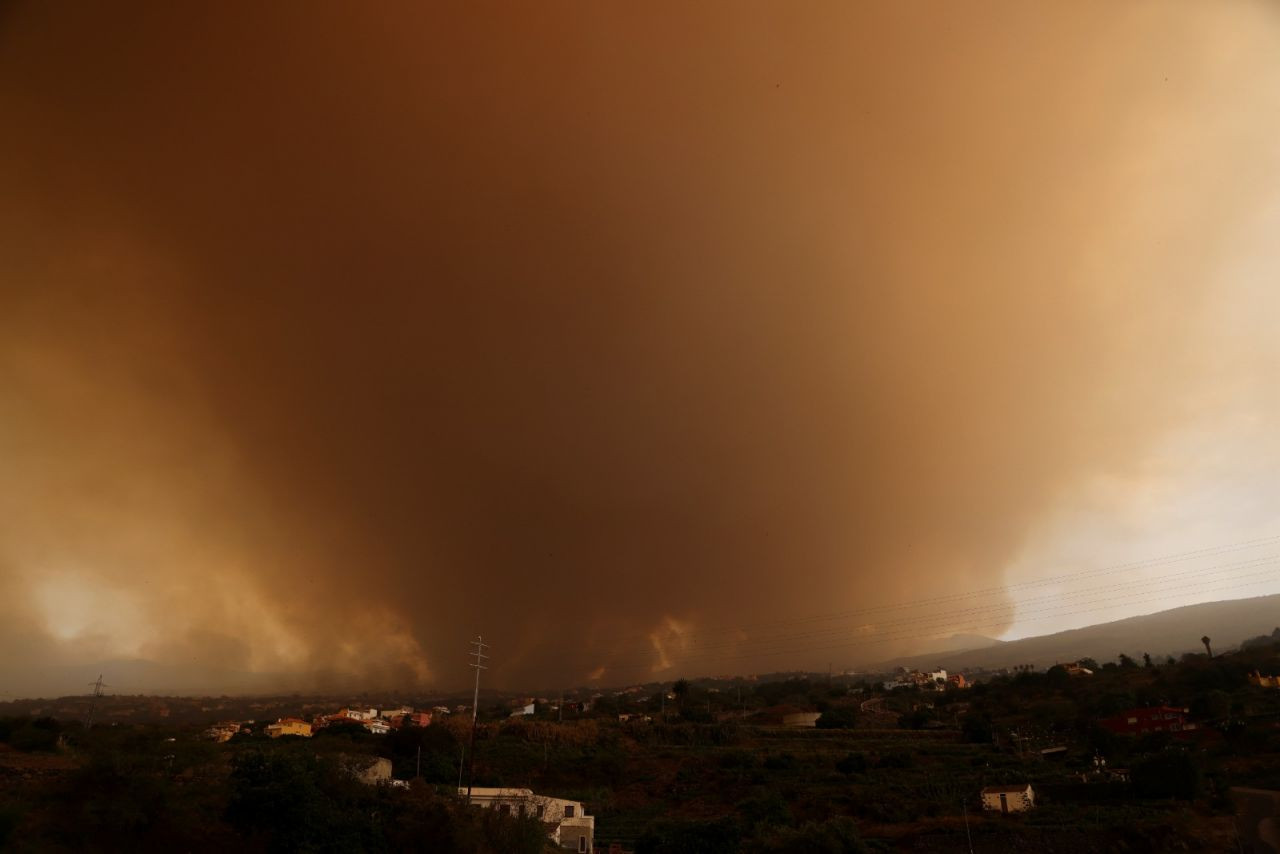 Tenerife, Yunanistan ve Kanada'da orman yangınları - Sayfa 1