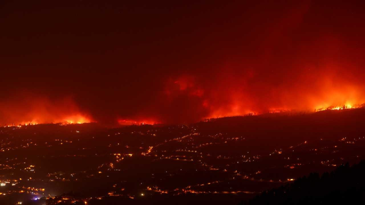 Tenerife, Yunanistan ve Kanada'da orman yangınları