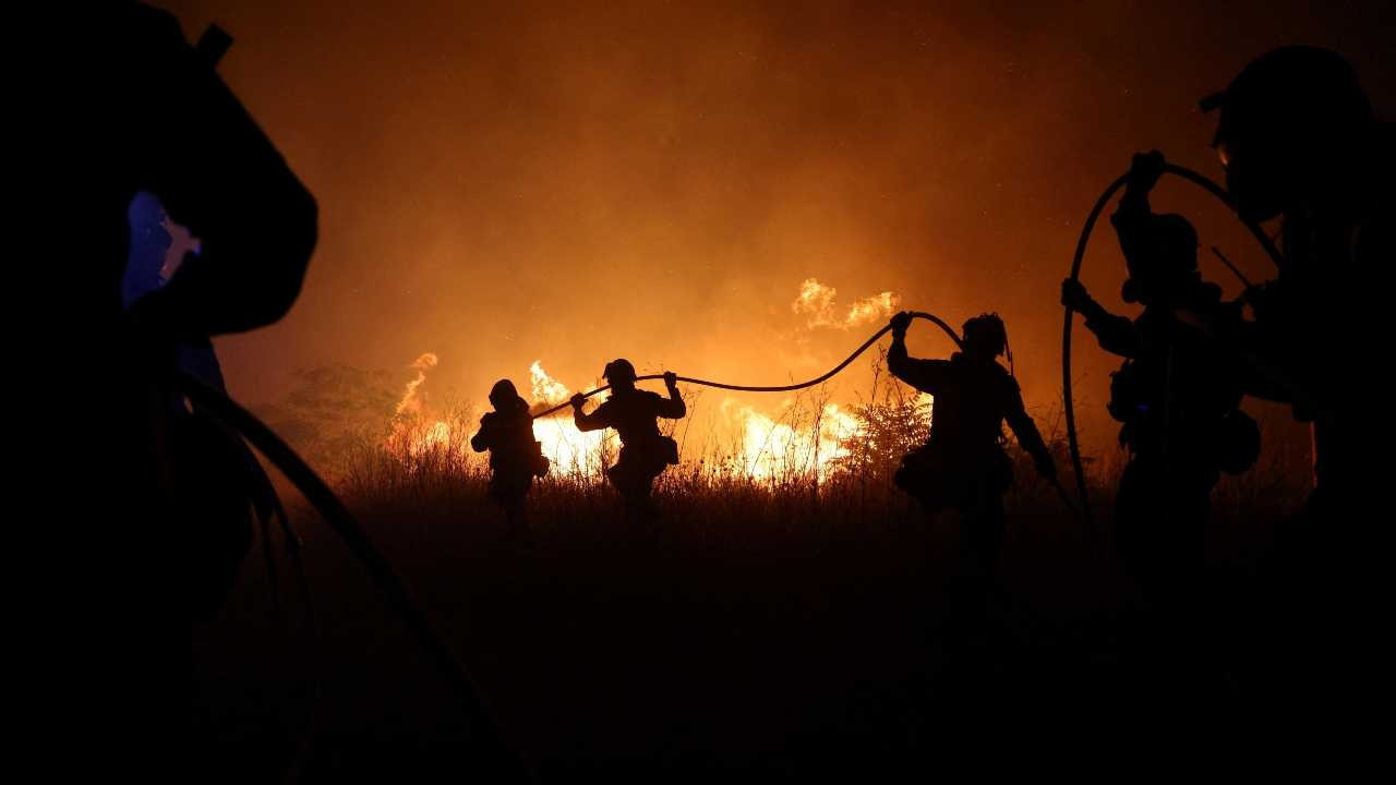 Yunanistan'da yangın: Ormanlık alanda 18 kişinin cesedi bulundu