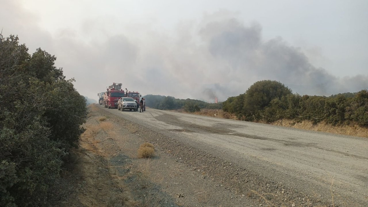 Çanakkale'de bir yangın da Gelibolu Yarımadası'nda çıktı