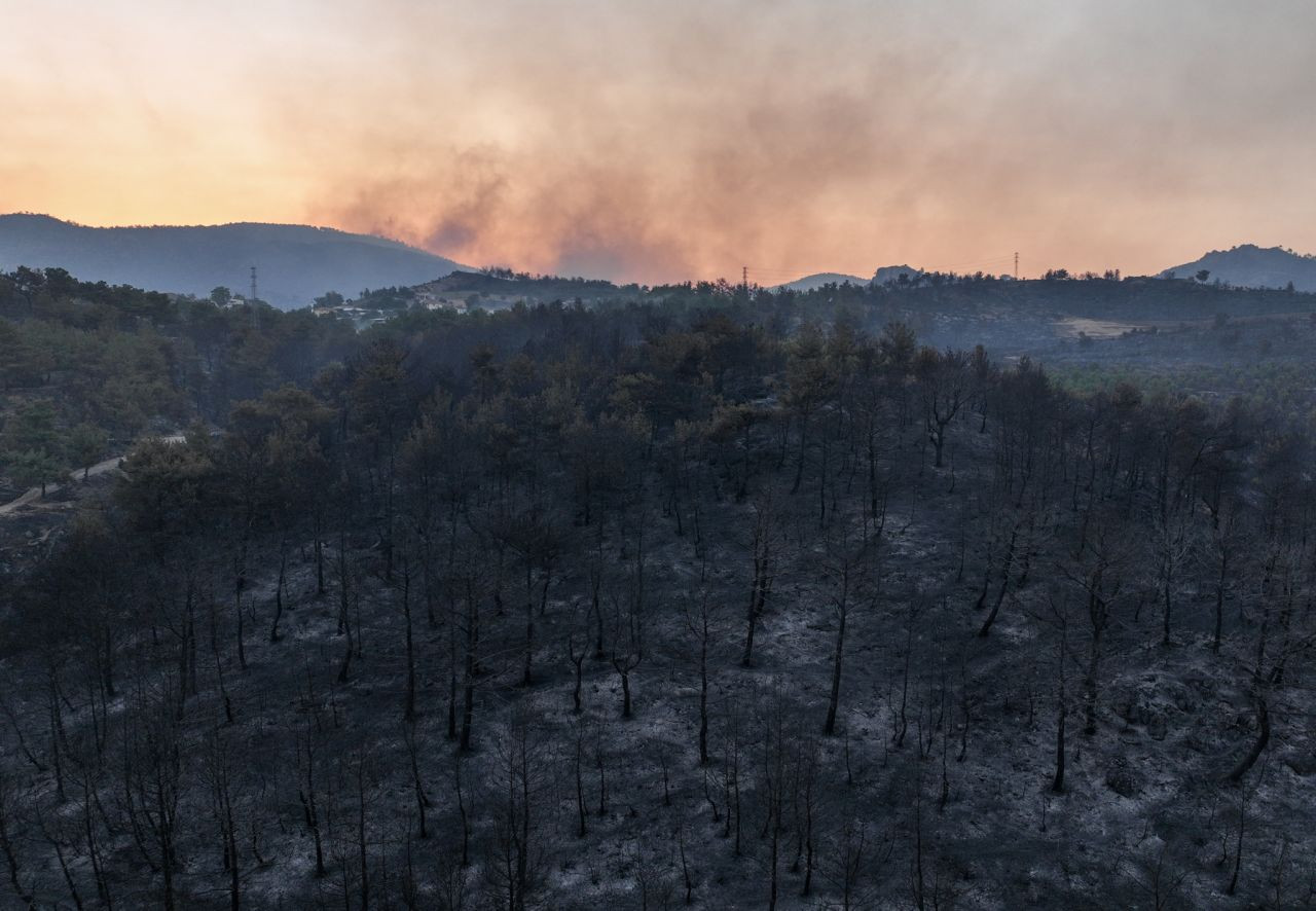 Çanakkale'deki yangının boyutu: 9 köy ve 1251 kişi tahliye edildi, bin 500 hektar orman yandı - Sayfa 4