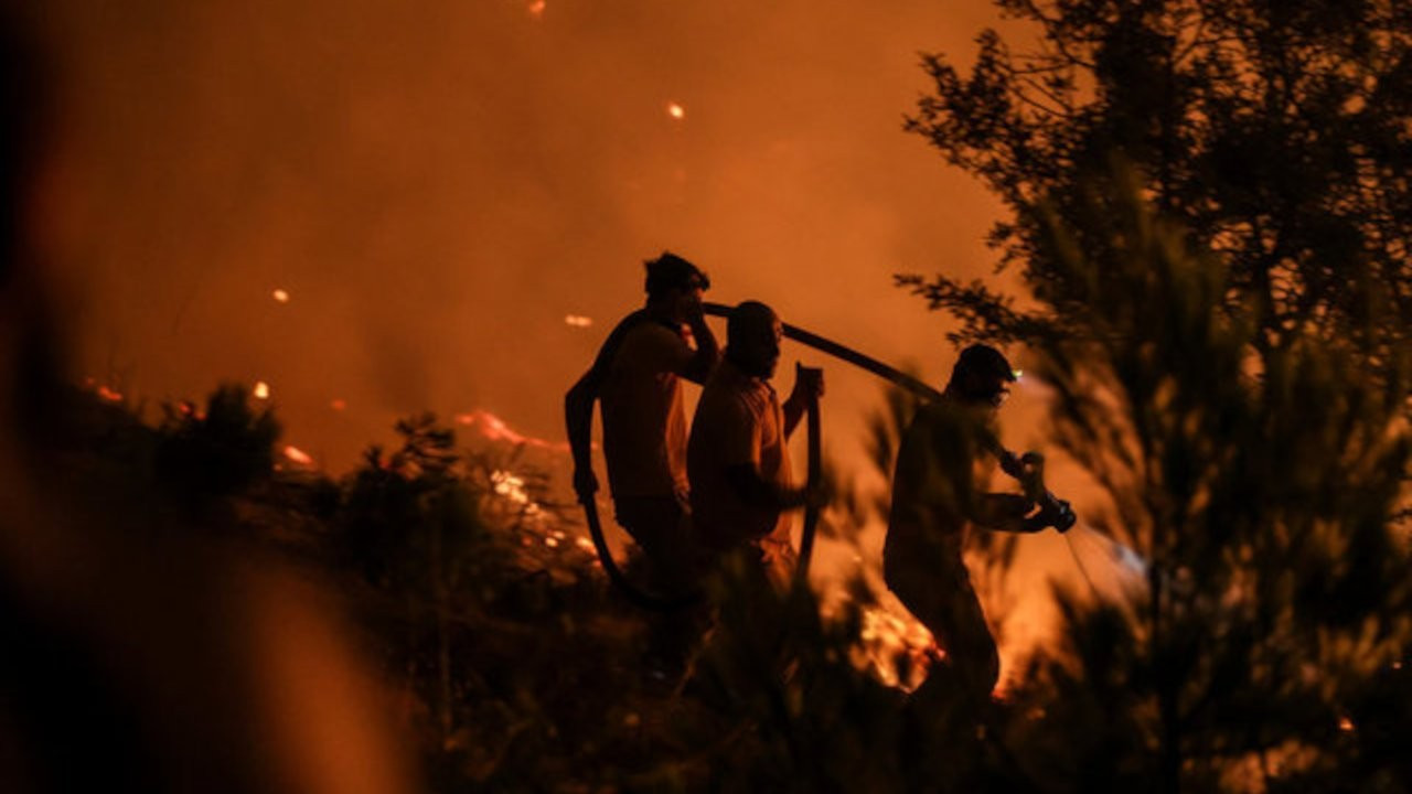 Çanakkale'deki orman yangınından fotoğraflar