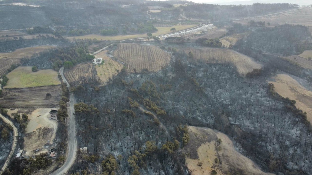 Çanakkale yangınının boyutu ortaya çıktı: Orman griye döndü
