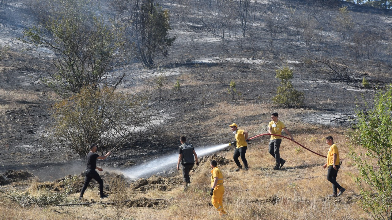 Bilecik'te orman yangını: 4 kişi hastaneye kaldırıldı