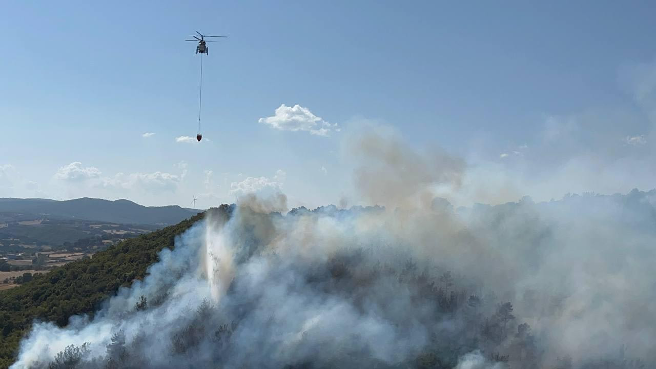 Çanakkale Çan'da orman yangını