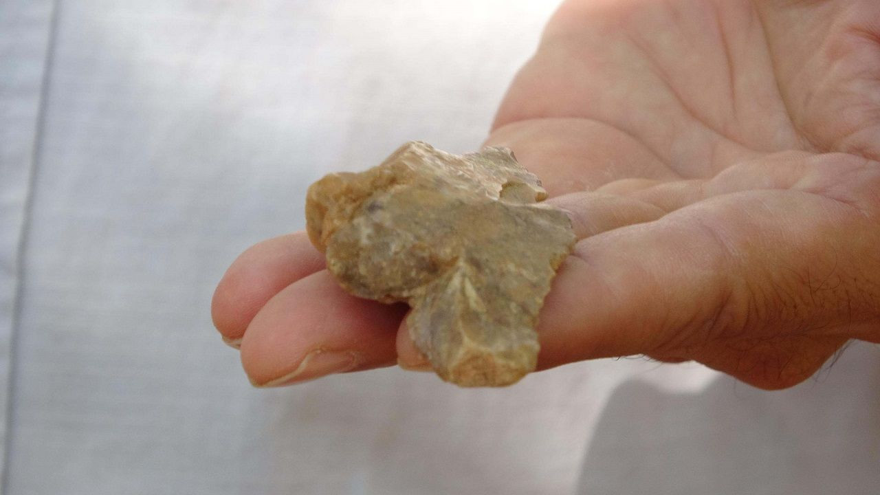 86 bin yıllık İnkaya Mağarası'nda Orta Paleolitik döneme ait saplı alet uçları bulundu - Sayfa 3