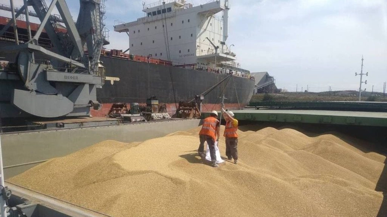 Ukrayna Hırvatistan üzerinden tahıl ihracatına başladı