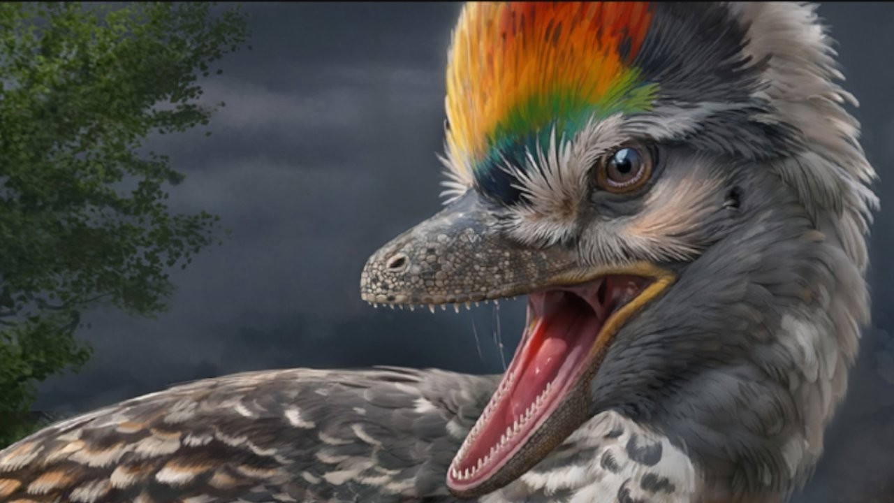 Dinozorlarla kuşlar arasındaki kayıp halka bulundu mu?