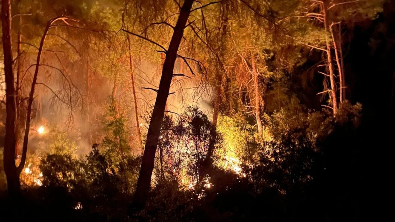 Adana İmamoğlu'nda 3 gün arayla 2'nci orman yangını