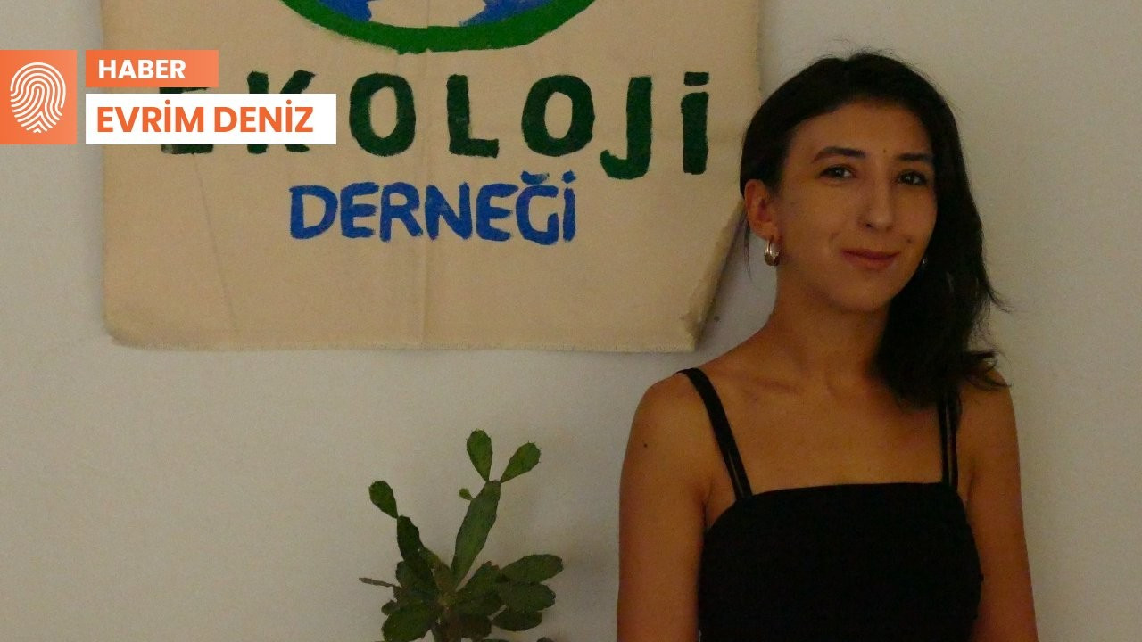 Diyarbakır Ekolojik Film Günleri başlıyor: 'Ana temamız yıkım, mücadele ve inşa'