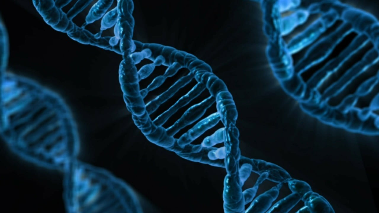 Hastalığa yol açan genler yapay zekayla tespit edildi