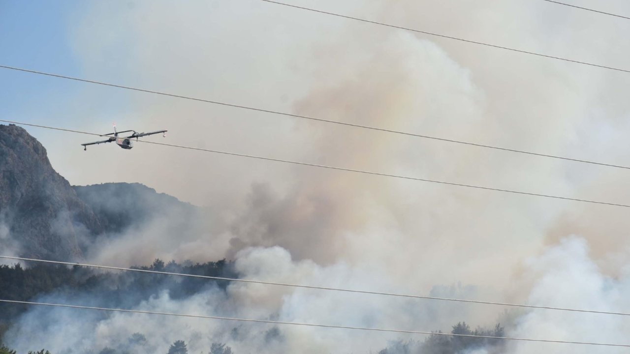 İzmir'deki orman yangınında 260 hektarlık alan etkilendi