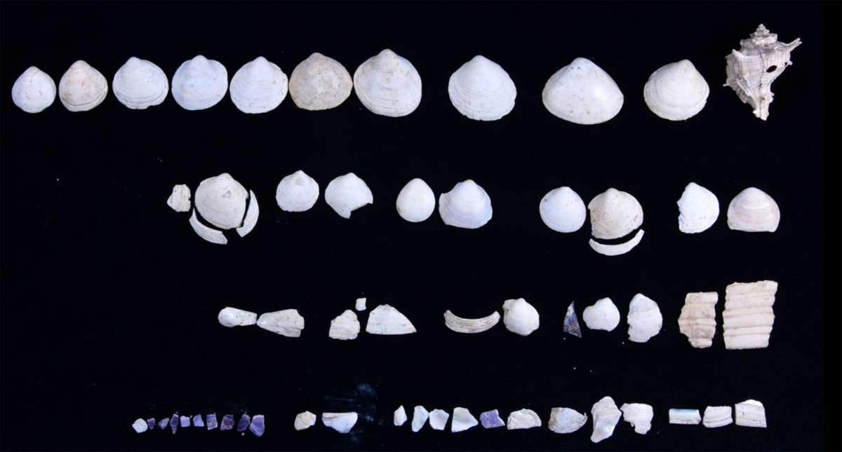Kütahya'da keşif: 2 bin yıllık makyaj malzemeleri bulundu - Sayfa 2
